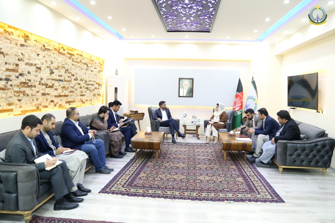 وزیر مخابرات و تکنالوژی معلوماتی و معین مالی وزارت مالیه دیدار و صحبت نمودند