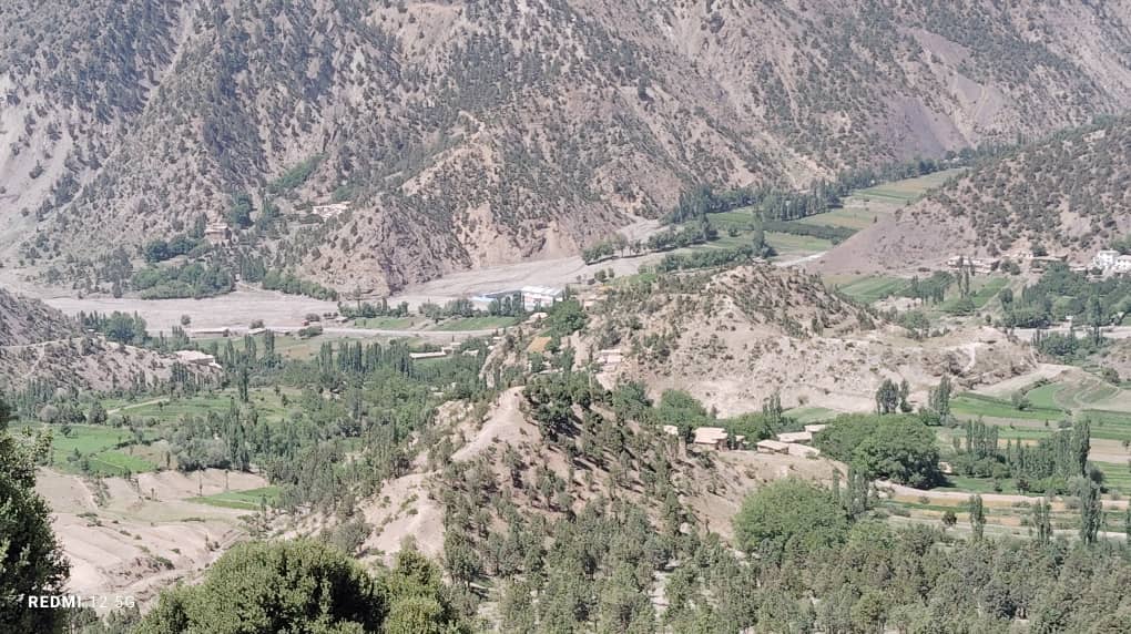 جاجی آریوب