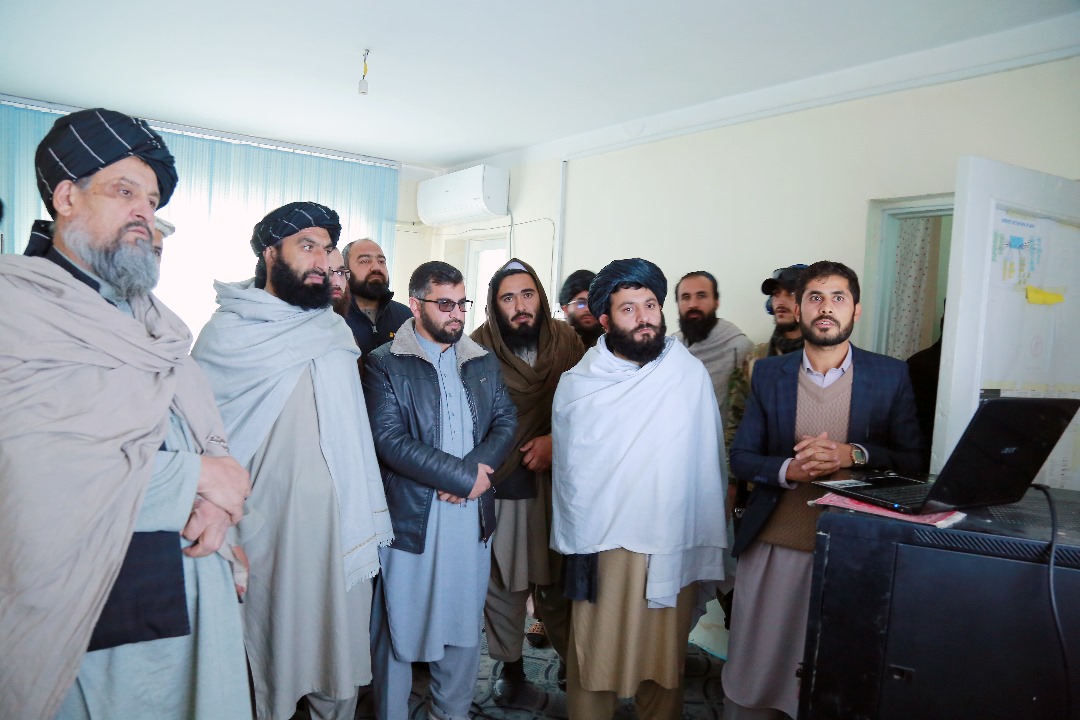 مکروریان ها
