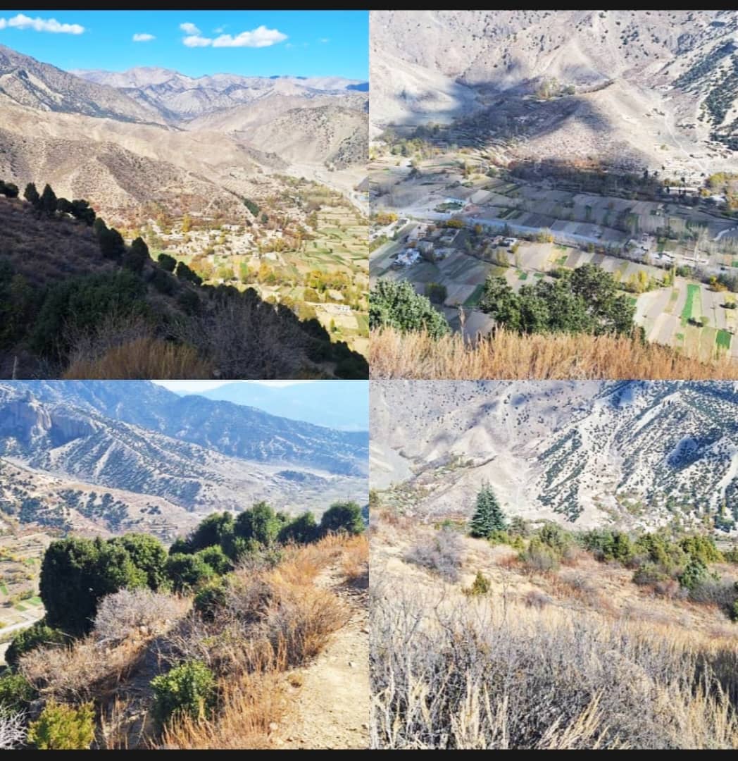 مخابرات ولایت پکتیا